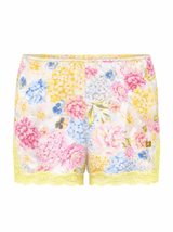 Boxer en soie, Aquarelle - MaÏs - Vannina VESPERINI