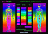 Consultation privée : le chromotest - Vannina VESPERINI